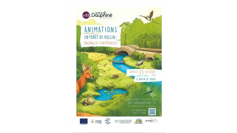 Animations en forêt de Vallin-balades et conférences