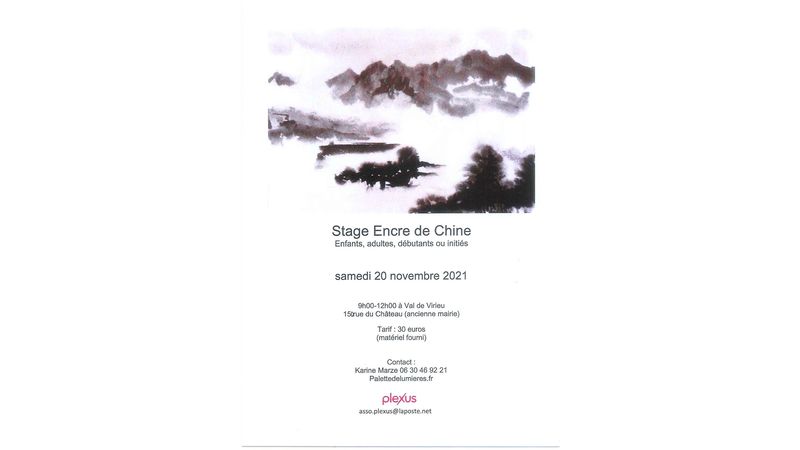 Stage Encre de Chine : enfants, adultes, débutants ou initiés
