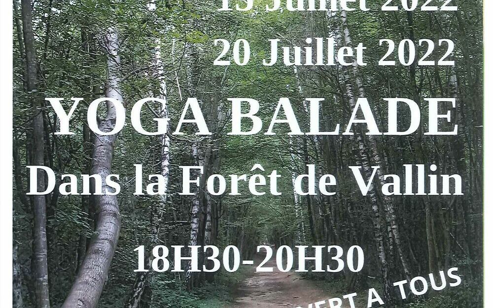 YOGA BALADE dans la forêt de Vallin