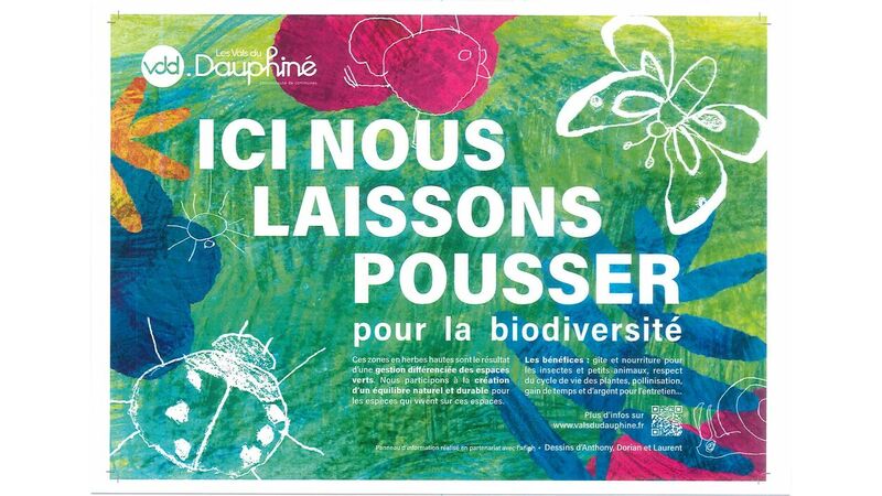 Ici nous laissons pousser pour la biodiversité