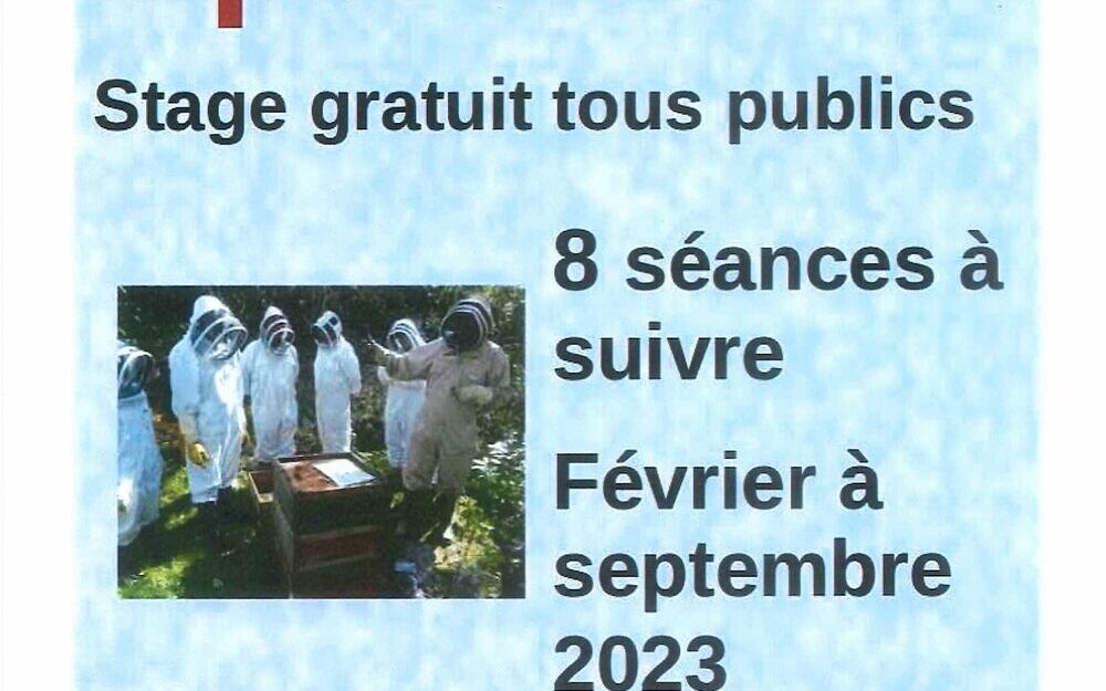 Initiation apiculture - Stage gratuit tous publics