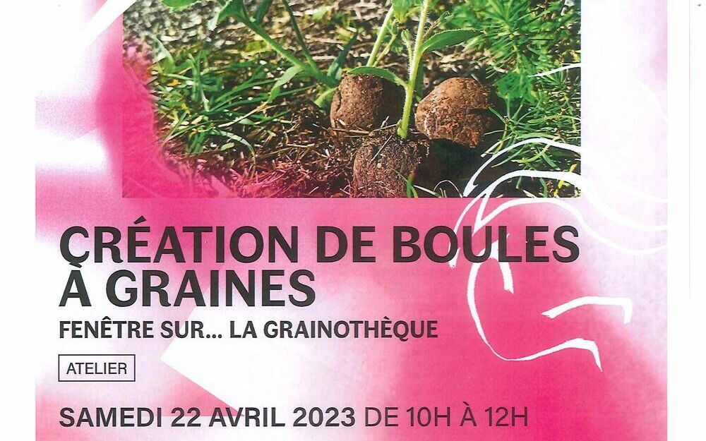 Création de boules à graines