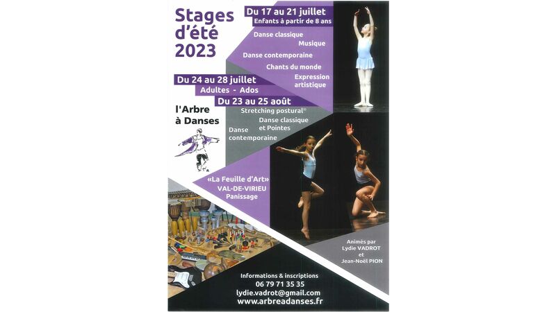 Stage d'été 2023 L'Arbre à Danses