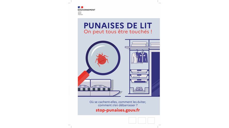PUNAISES DE LIT - On peut tous être touchés !
