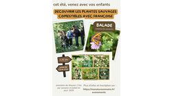Cet été, venez avec vos enfants découvrir les plantes sauvages comestibles avec Françoise