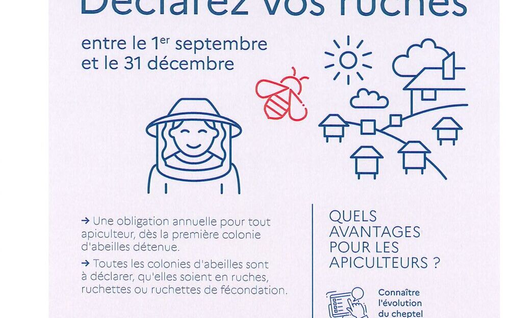Déclarez vos ruches entre le 1er Septembre et le 31 Décembre 2025