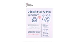 Déclarez vos ruches entre le 1er Septembre et le 31 Décembre 2025