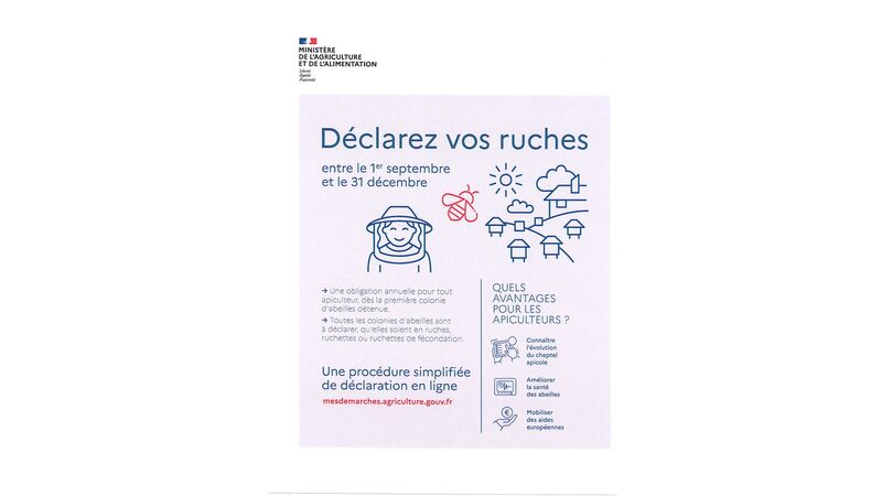 Déclarez vos ruches entre le 1er Septembre et le 31 Décembre 2025
