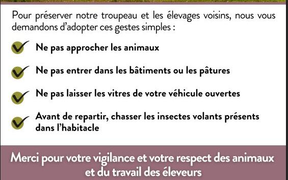 Protégeons ensemble les troupeaux