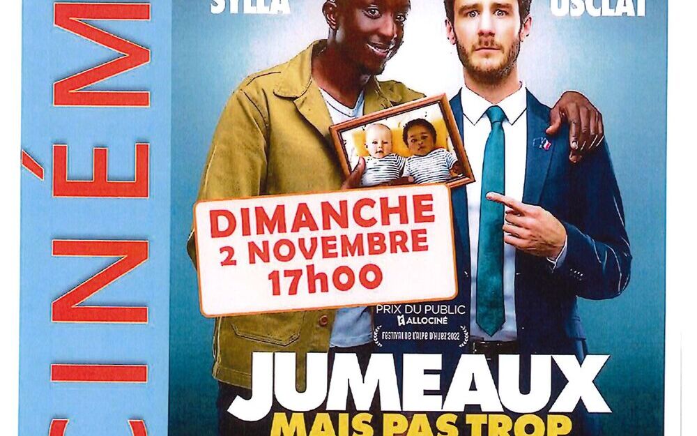 Cinéma : JUMEAUX MAIS PAS TROP