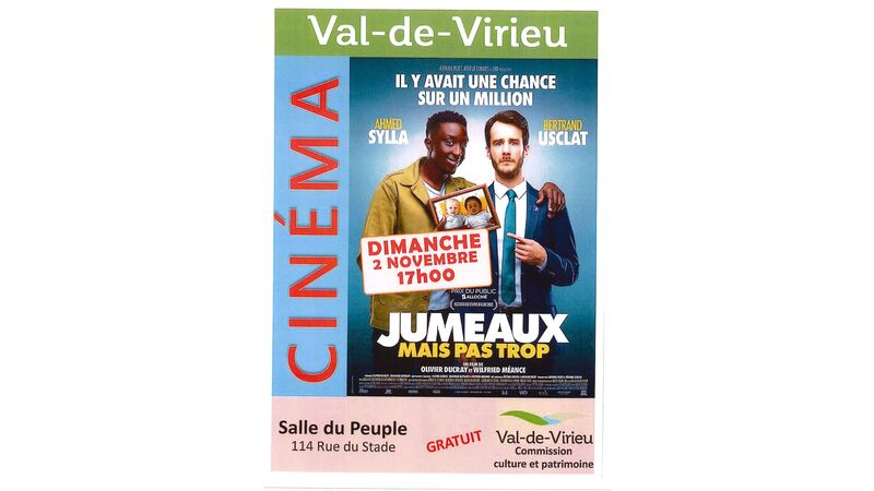 Cinéma : JUMEAUX MAIS PAS TROP
