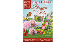 Plantes en folie - Château de Pupetières Plantes en folie - Château de Pupetières