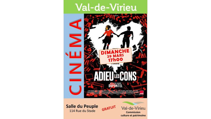 Cinéma - Adieu les cons