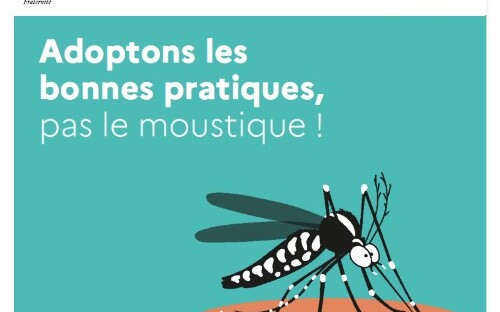 Luttons contre la prolifération du moustique tigre ! Luttons contre la prolifération du moustique tigre !
