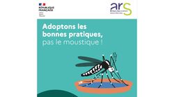 Luttons contre la prolifération du moustique tigre ! Luttons contre la prolifération du moustique tigre !