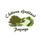 CHATEAU GAILLARD PAYSAGE