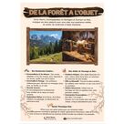 De la forêt à l'objet