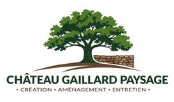 CHATEAU GAILLARD PAYSAGE