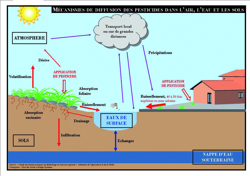 mécanisme pesticides